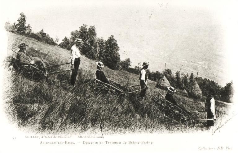 Descente en traîneau