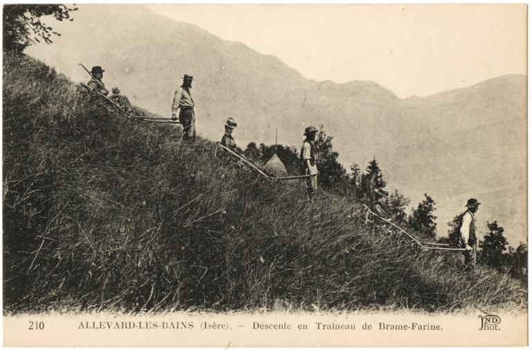 Descente en traîneau