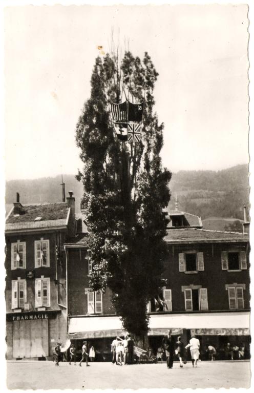 L'arbre de la Liberté