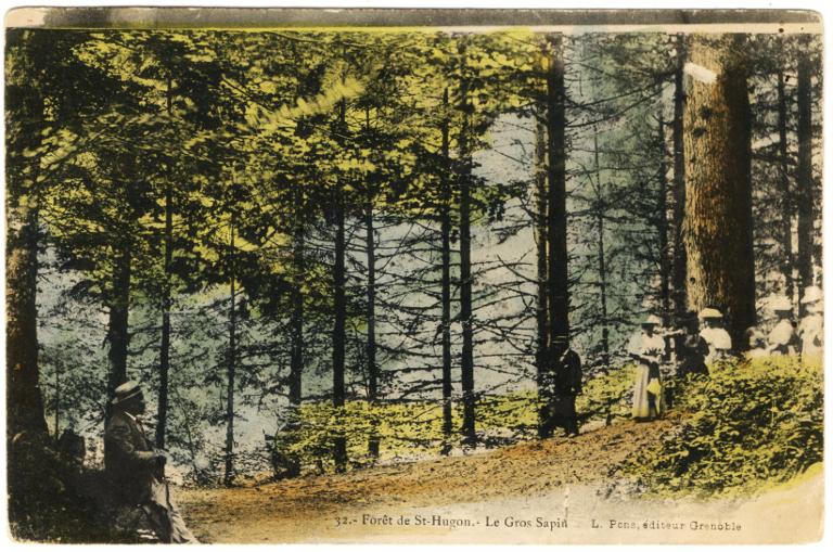 Promenade dans la forêt Saint-Hugon