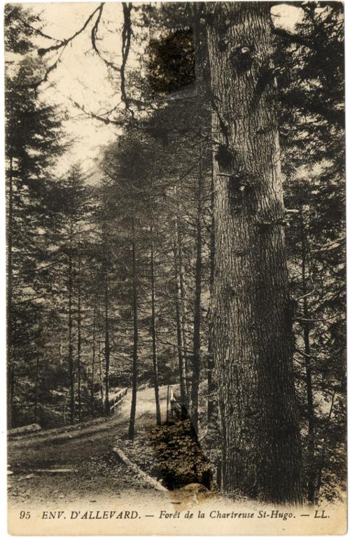 Forêt de Saint-Hugon