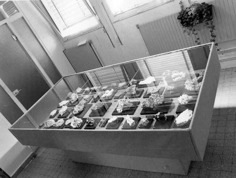 Ancienne muséographie
