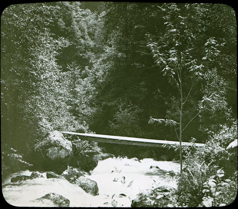 Allevard. Bords du Veyton