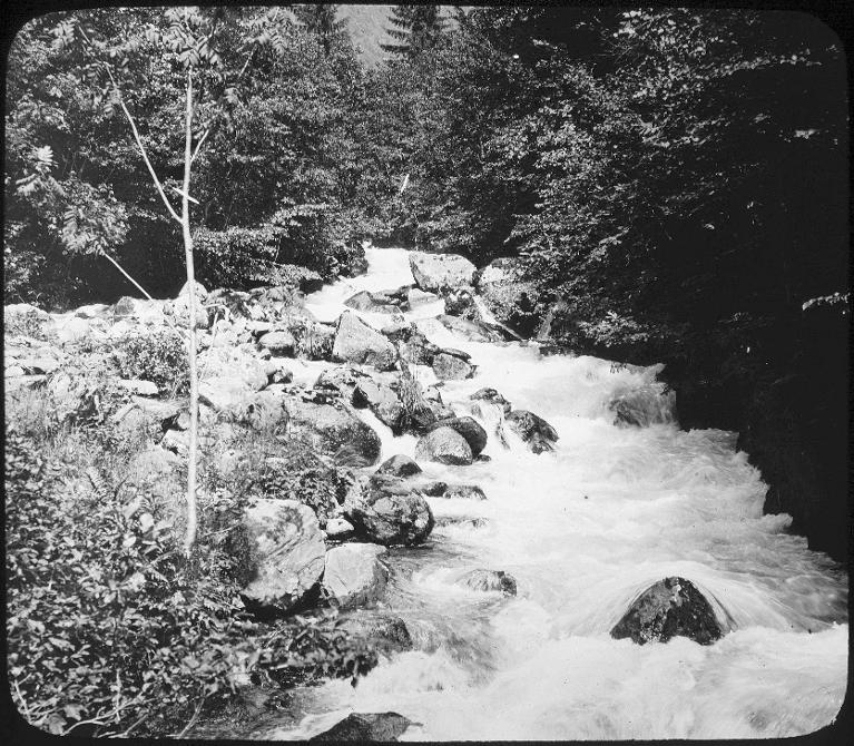 Allevard. Bords du Veyton