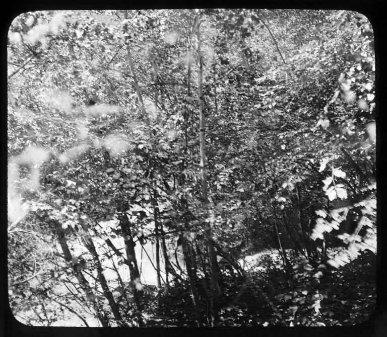 Allevard. Confluent du Veyton et du Bréda