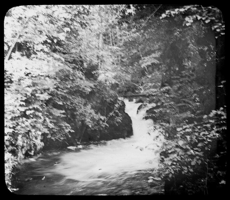 Allevard. Bords du Veyton