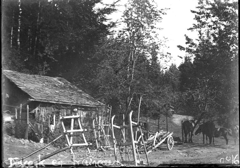 Bramefarine : le chalet, les traîneaux et les bêtes