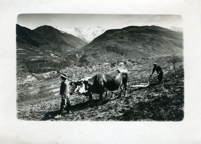 Labour traditionnel sur les coteaux de Bramefarine