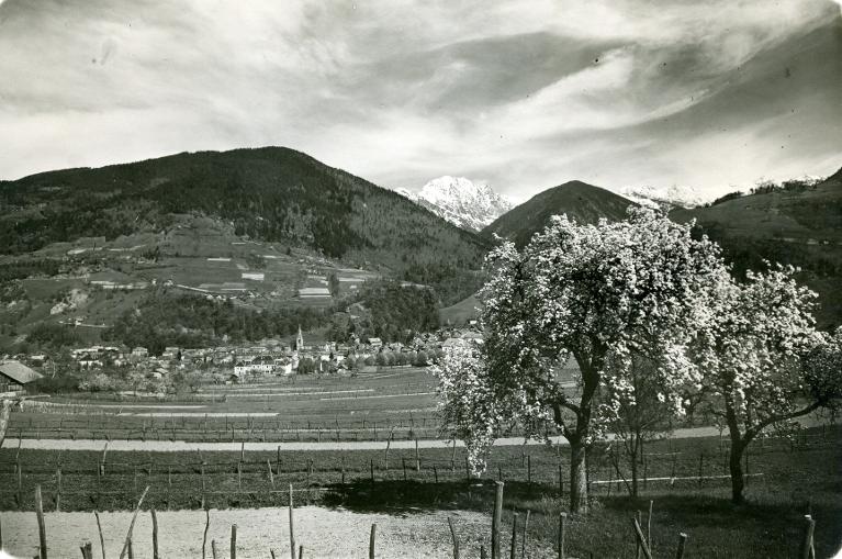 Arbres en fleurs, Allevard et le Grand Charnier