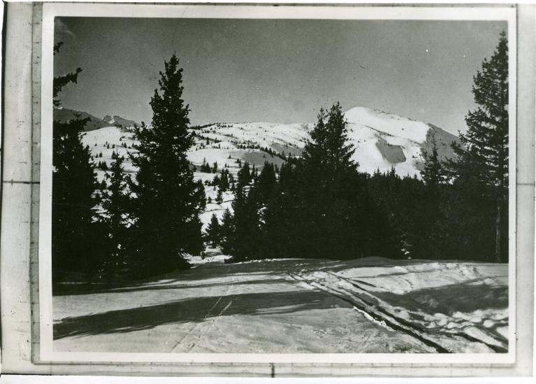 Le Collet d'Allevard. Premières traces dans la poudreuse