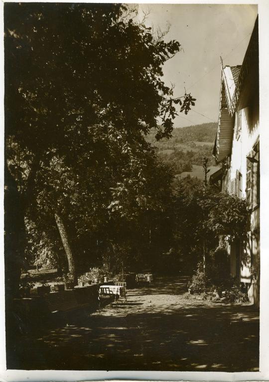Vue de l'Hôtel Les Pervenches