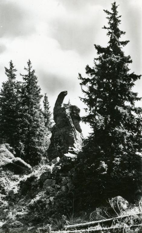 L'Évêque du Collet, 