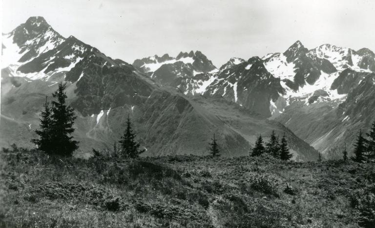 Vue depuis le Crêt du Poulet : Col et Rocher d'Arguille, Aiguilles de l'Argentière, Col de la Combe Madame, Pics Badon, Rocher Blanc, Pyramide