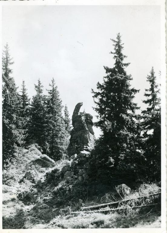 L'Évêque du Collet, 