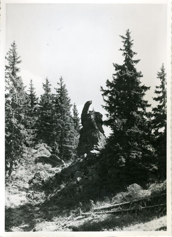 L'Évêque du Collet, 