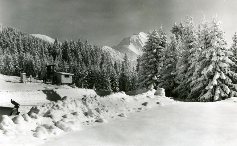 Au Collet d'Allevard : la forêt, le sommet des Plagnes et le Grand Charnier sous la neige.