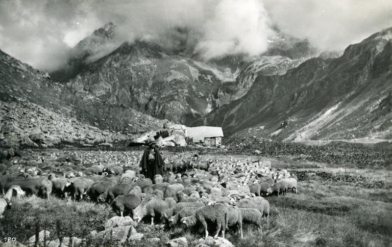 Transhumants dans les montagnes d'Allevard