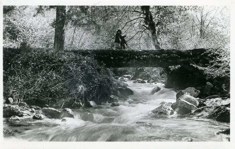 Vieux pont sur le torrent Veyton