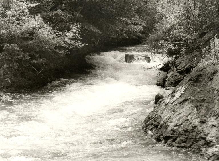Vue du torrent du Bréda ?