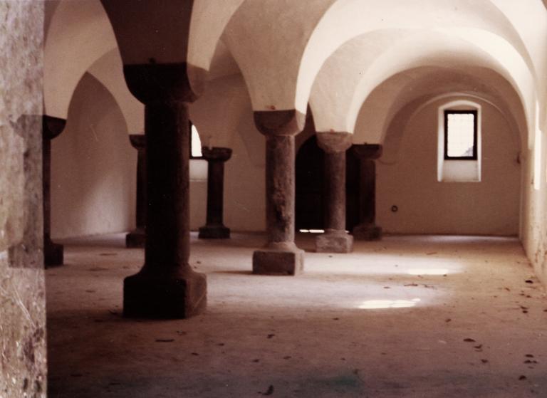 Vue d'une salle voûtée à l'intérieur de la chartreuse de Saint-Hugon