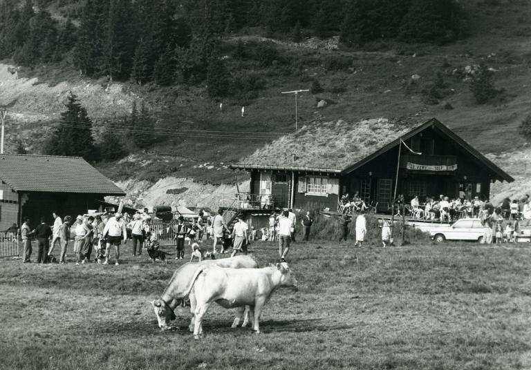 Vue du plateau du Super Collet en été