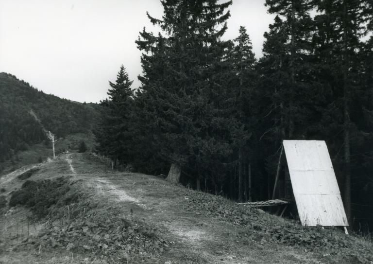 Paysage du Collet d'Allevard