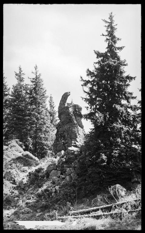 L'Évêque du Collet, 