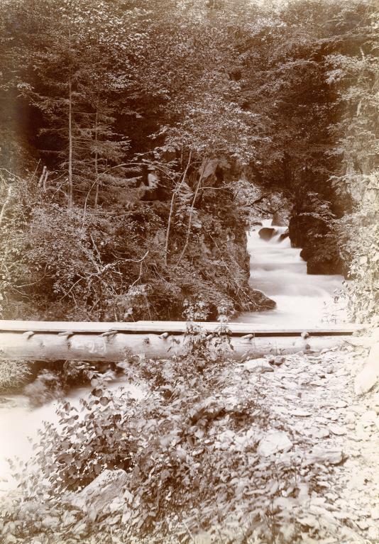 Pont de sapin sur le Bréda